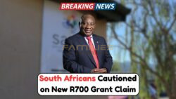 SASSA Introduces New R700 Monthly Grant for 2025 – How to Check Eligibility