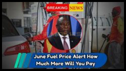 Fuel Price Shock: Is South Africa Ready for June 2025’s Petrol Surge?